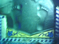 Actual footprints of Imam Reza